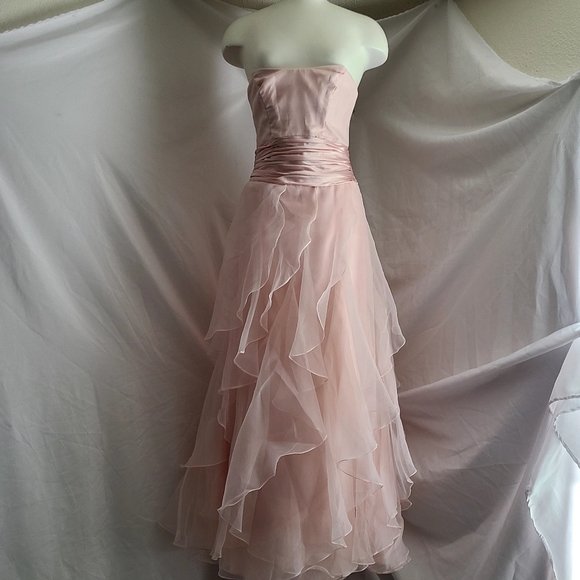David's Bridal Strapless Dress in Blush - Picture 1 of 6